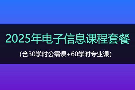 2025年电子信息课程套餐