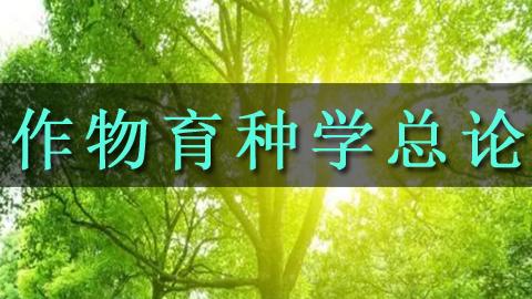 教学计划 