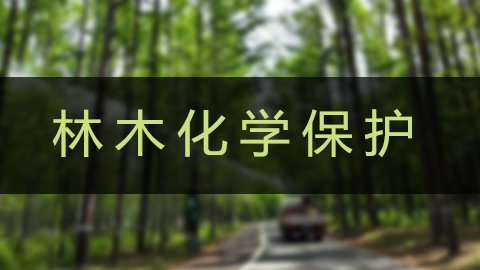 教学计划 