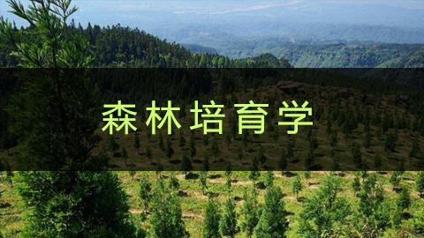 教学计划 