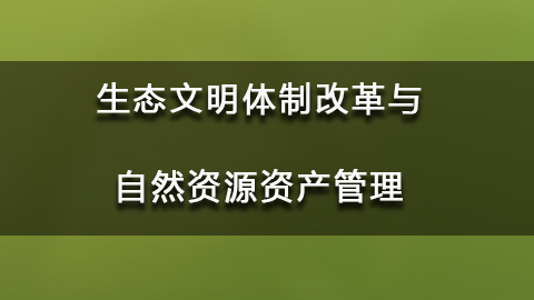 教学计划 