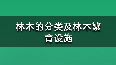 教学计划 