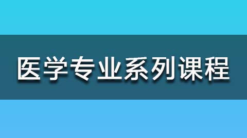 教学计划 
