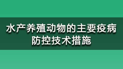 教学计划 